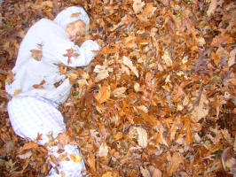 Autumn Bliss