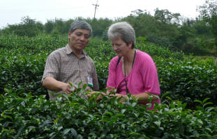 Kirsten learning about tea from tea master Norman Shu