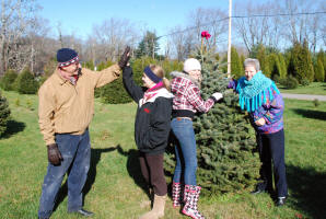 this year's tree picked!