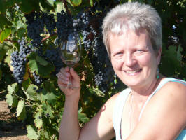 examining the grapes for Hart wines
