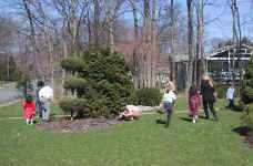Egg hunt