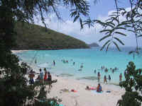Local Beach