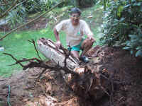 Amrit put to work