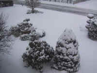 A view from our 2nd floor
