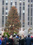 Rockefeller Center tree